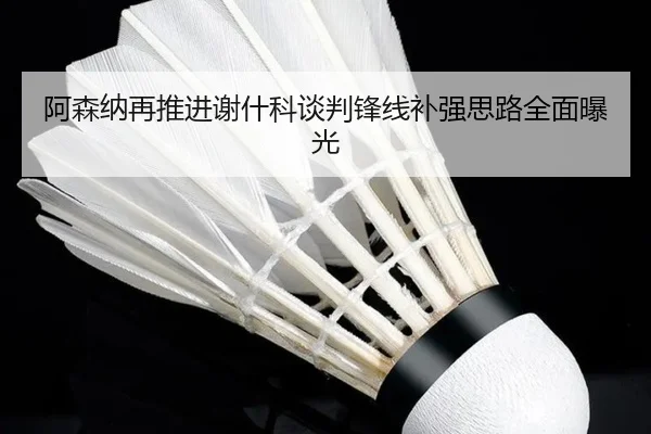阿森纳再推进谢什科谈判锋线补强思路全面曝光 | BETWAY