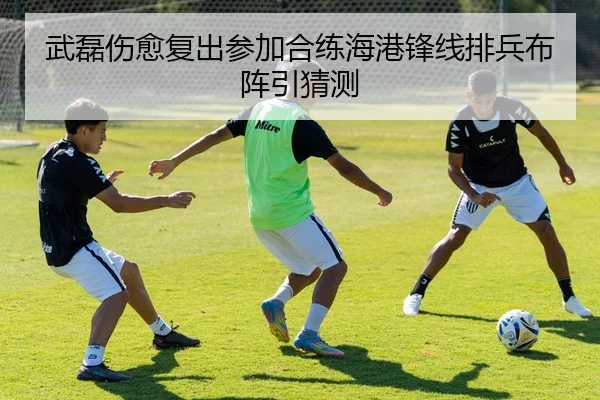 武磊伤愈复出参加合练海港锋线排兵布阵引猜测 | BETWAY